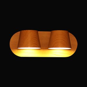 ANDREA Matt Finish Metal Double Led Wall Light